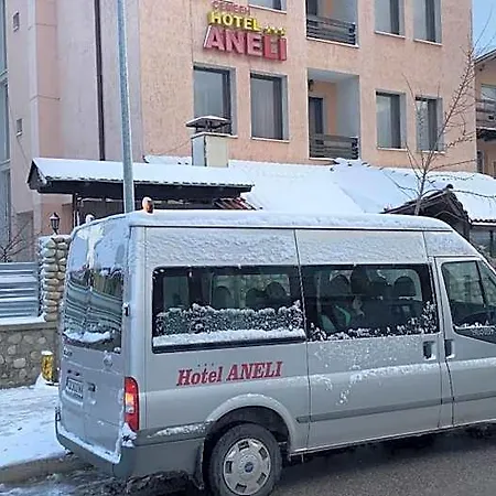 Aneli Hotel Bansko