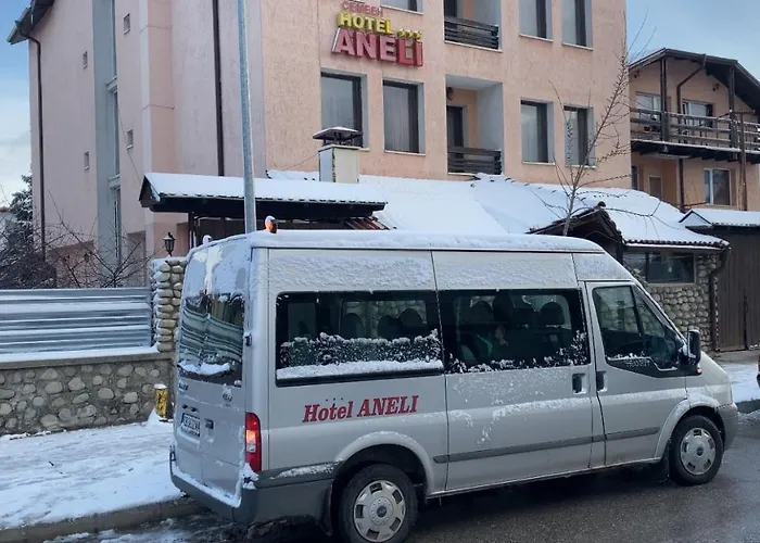 Hotel Aneli 3*